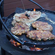 Load image into Gallery viewer, Swing-out Metal Fire Grill with Pot Holder
