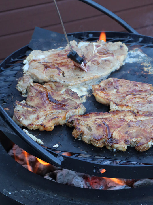 Swing-out Metal Fire Grill with Pot Holder